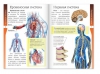 Книжка-шпаргалка «Окружающий мир. Организм человека», 12 стр. 5287943 - Интернет-магазин игрушек и конструкторов Лего kubikon.ru, г. Екатеринбург