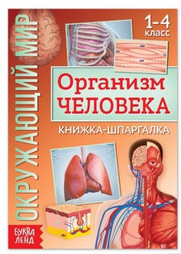 Книжка-шпаргалка «Окружающий мир. Организм человека», 12 стр. 5287943 - Интернет-магазин игрушек и конструкторов Лего kubikon.ru, г. Екатеринбург